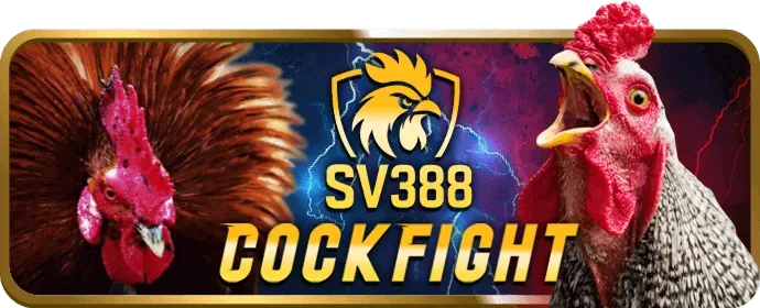 Bước 2: Nạp tiền và chơi